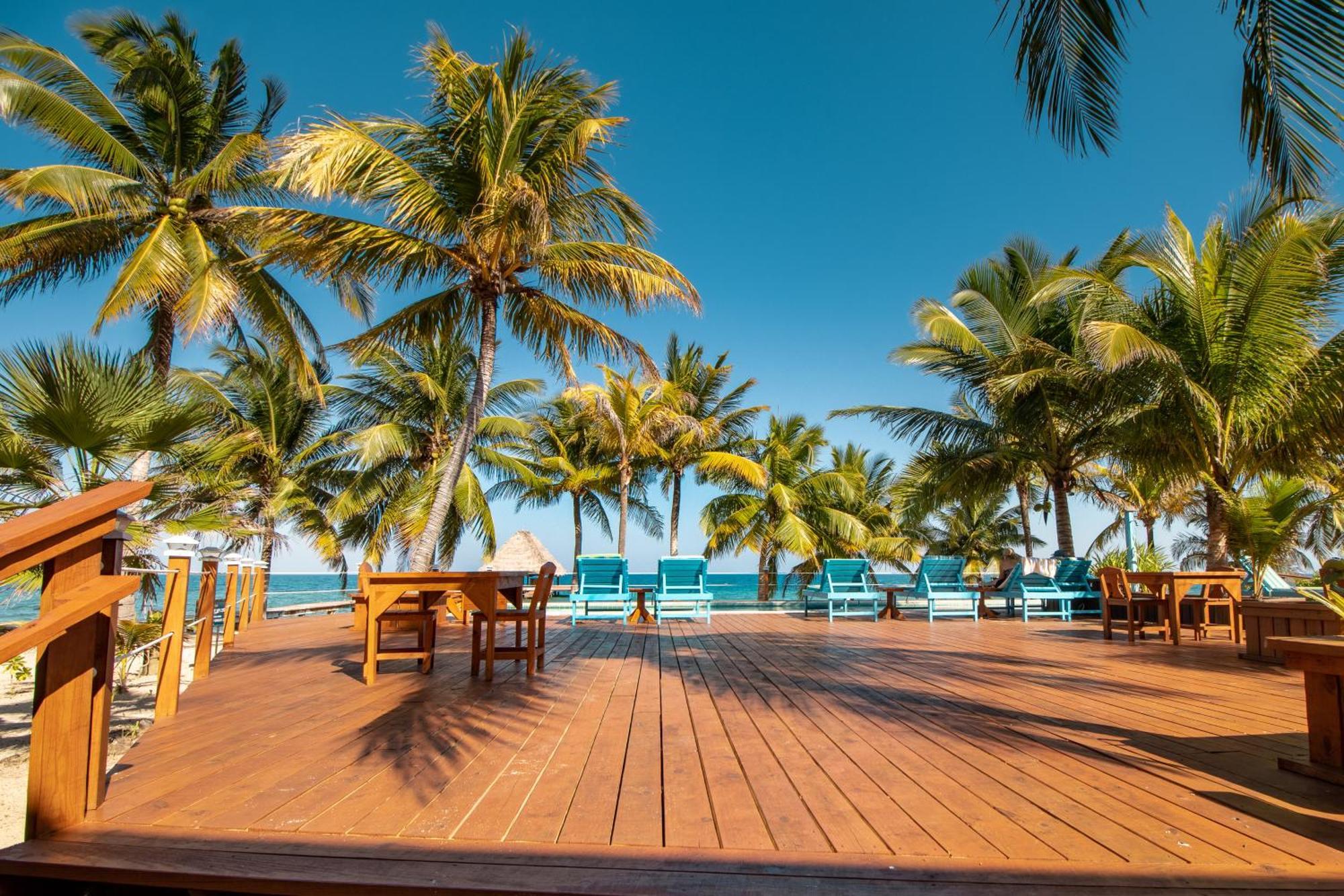 Beachside Villas Gold Standard Certified Placencia Rom bilde