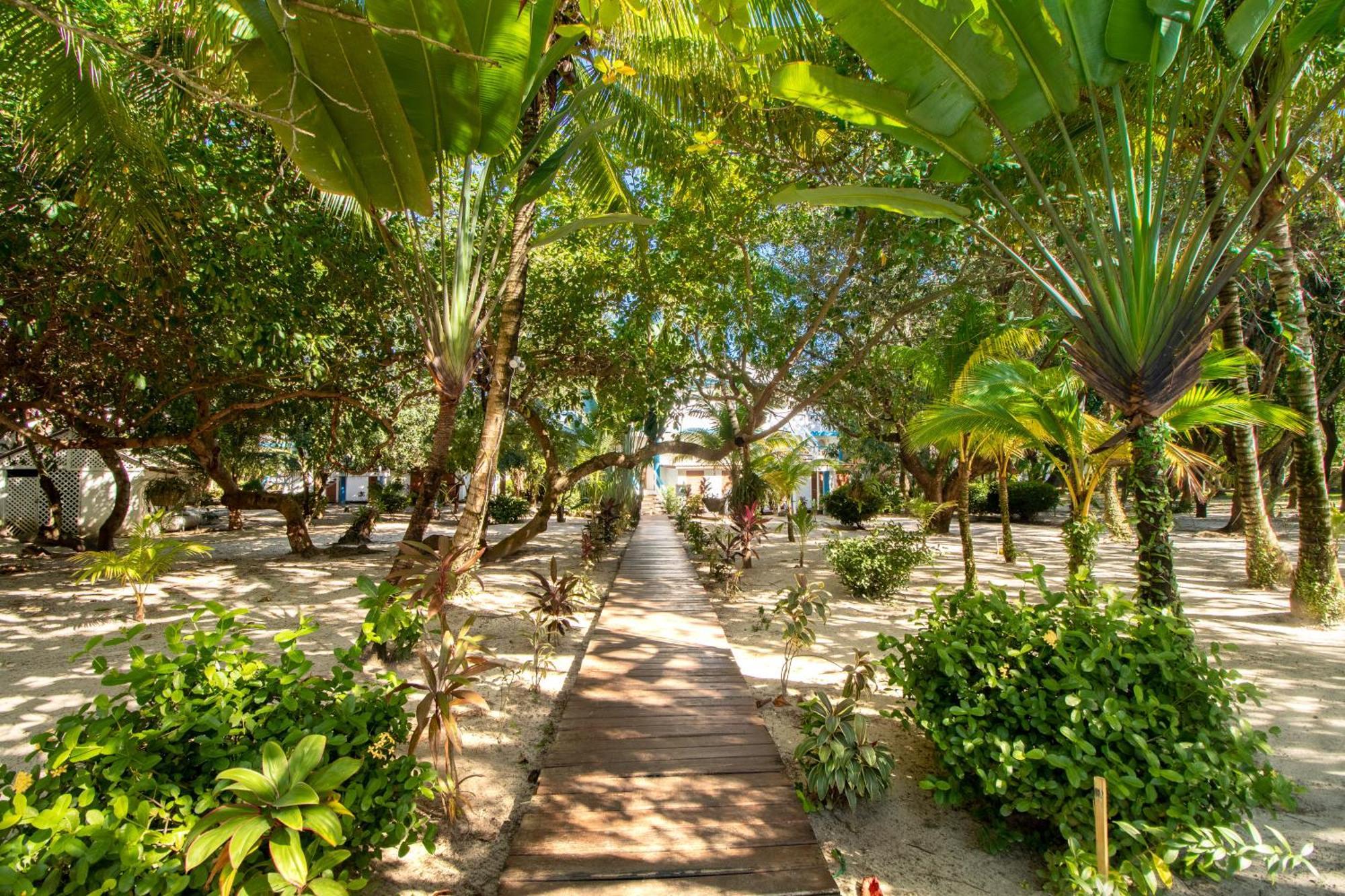 Beachside Villas Gold Standard Certified Placencia Rom bilde
