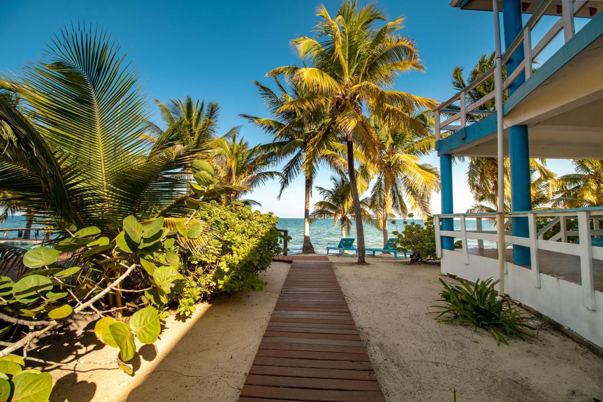 Beachside Villas Gold Standard Certified Placencia Rom bilde