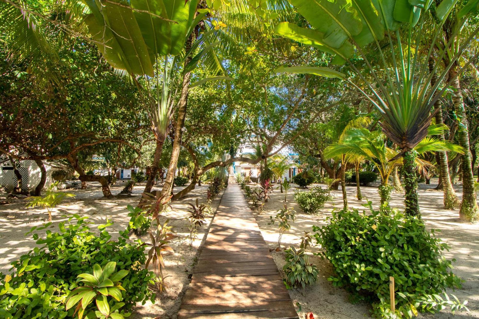 Beachside Villas Gold Standard Certified Placencia Rom bilde