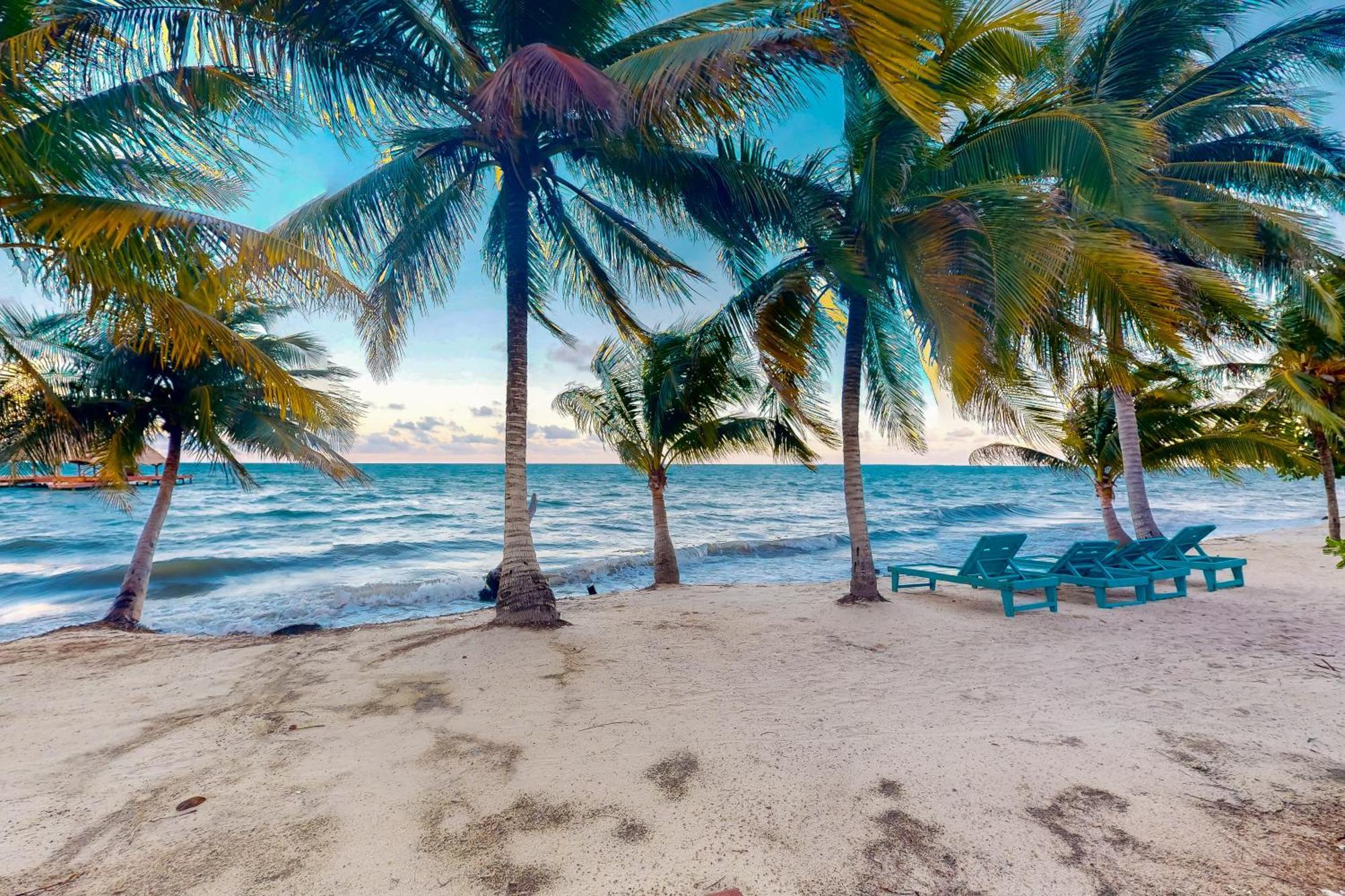 Beachside Villas Gold Standard Certified Placencia Rom bilde